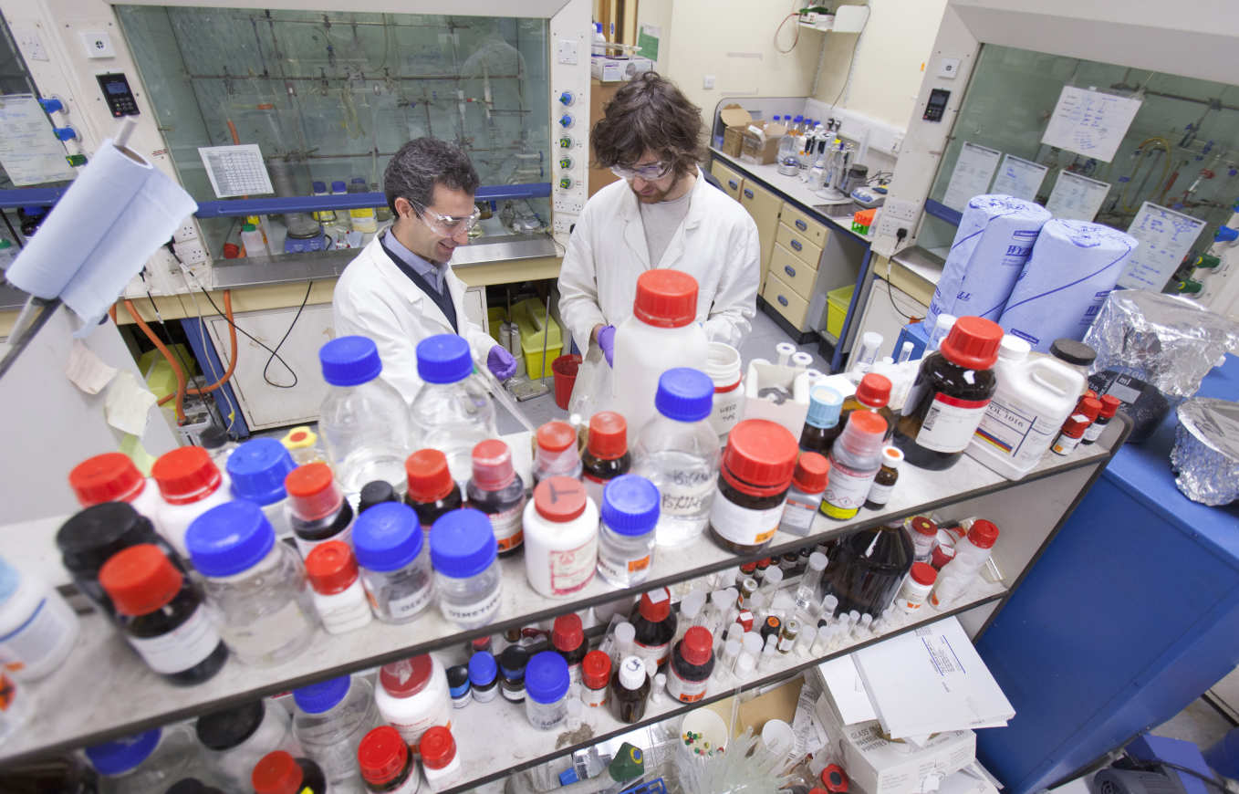 Vilar Research Group: Ramon Vilar in the lab with a colleague