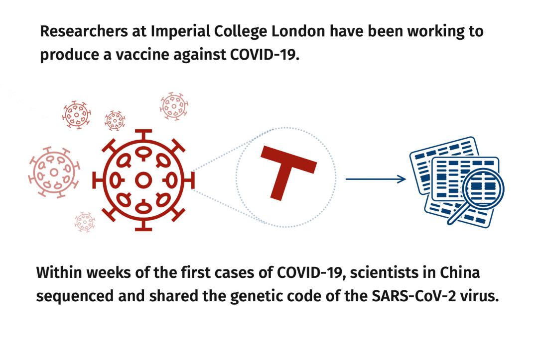 Infographic - sequencing the virus