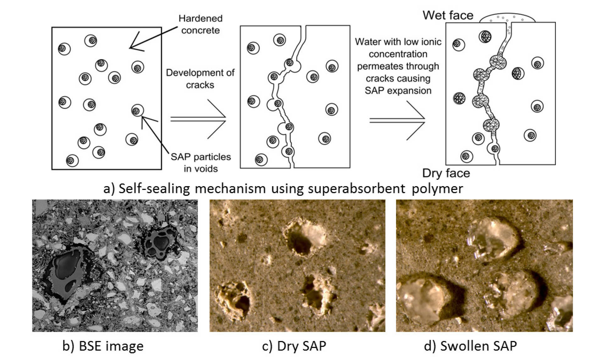 Self-sealing of cracks in cement-based materials using superabsorbent