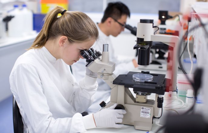 Hammersmith Research Students in the lab