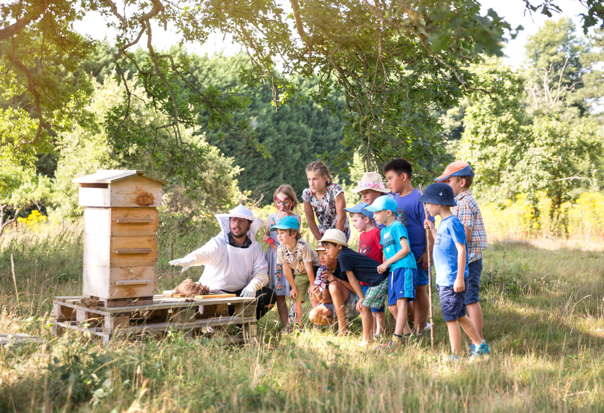 A beekeeper shows some children a hive