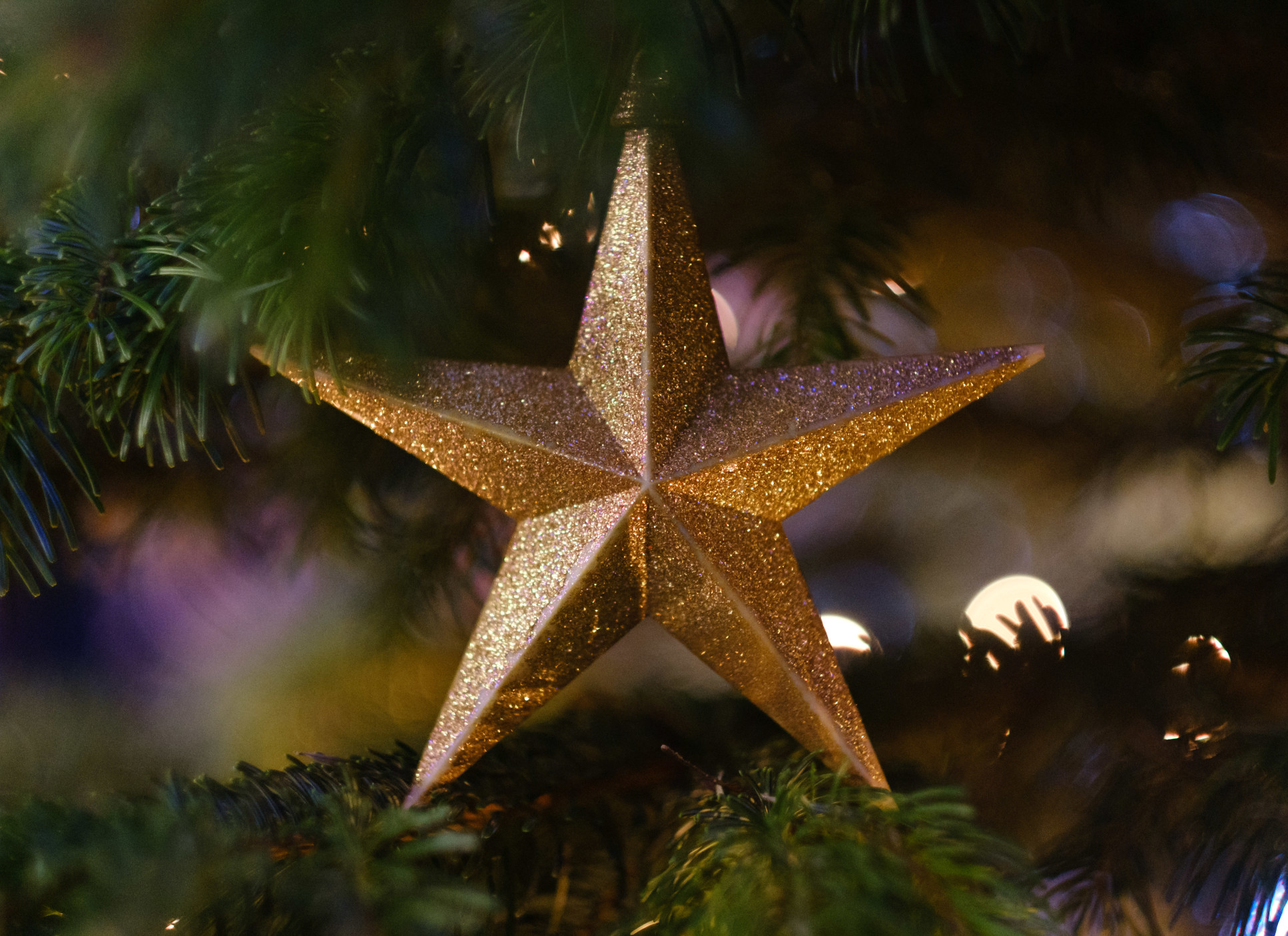 Christmas star