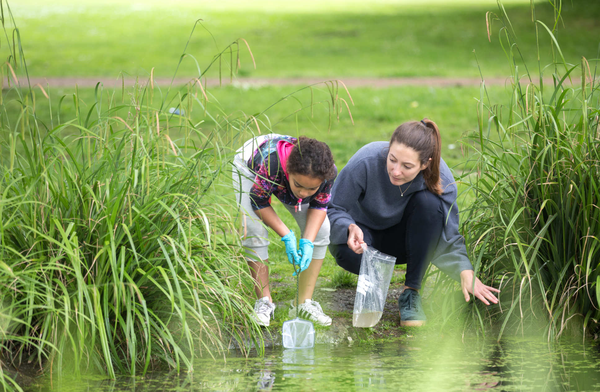 Children pond dipping