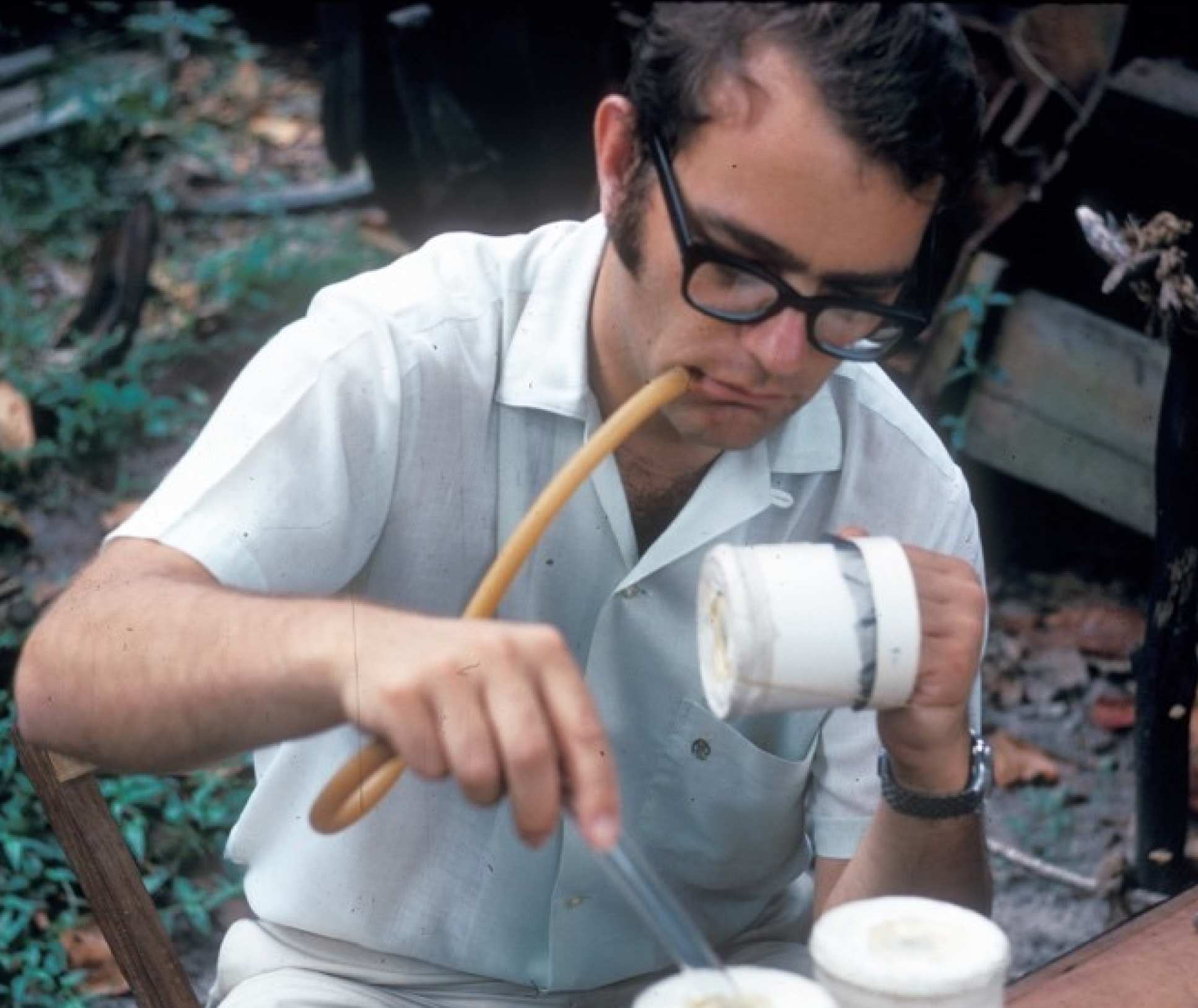 Gordon allows mosquitos to bite his hand to better understand their feeding behaviour (Dar es Salaam, Tanzania, 1970)