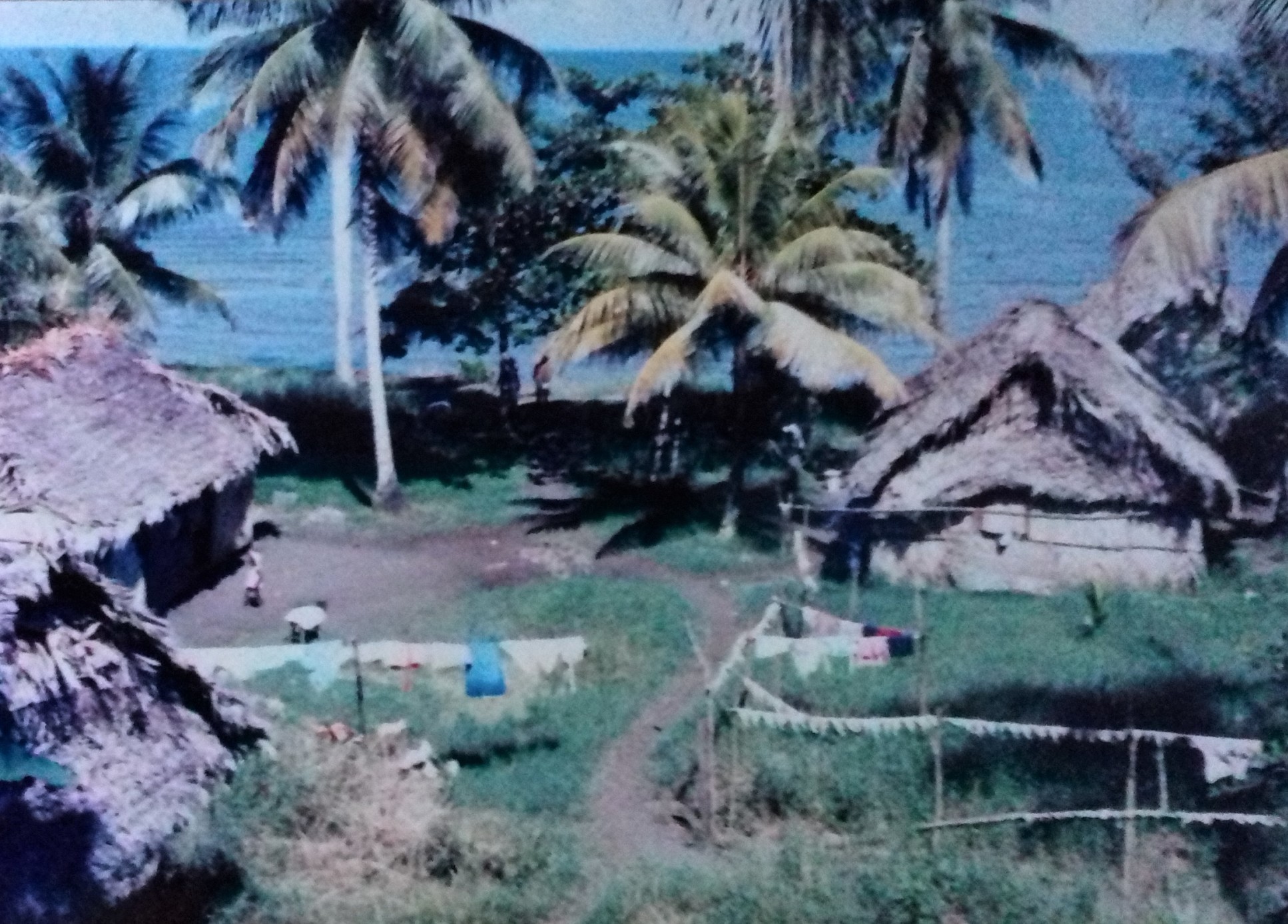 Livingston, a coastal village with palm trees and thatched huts.