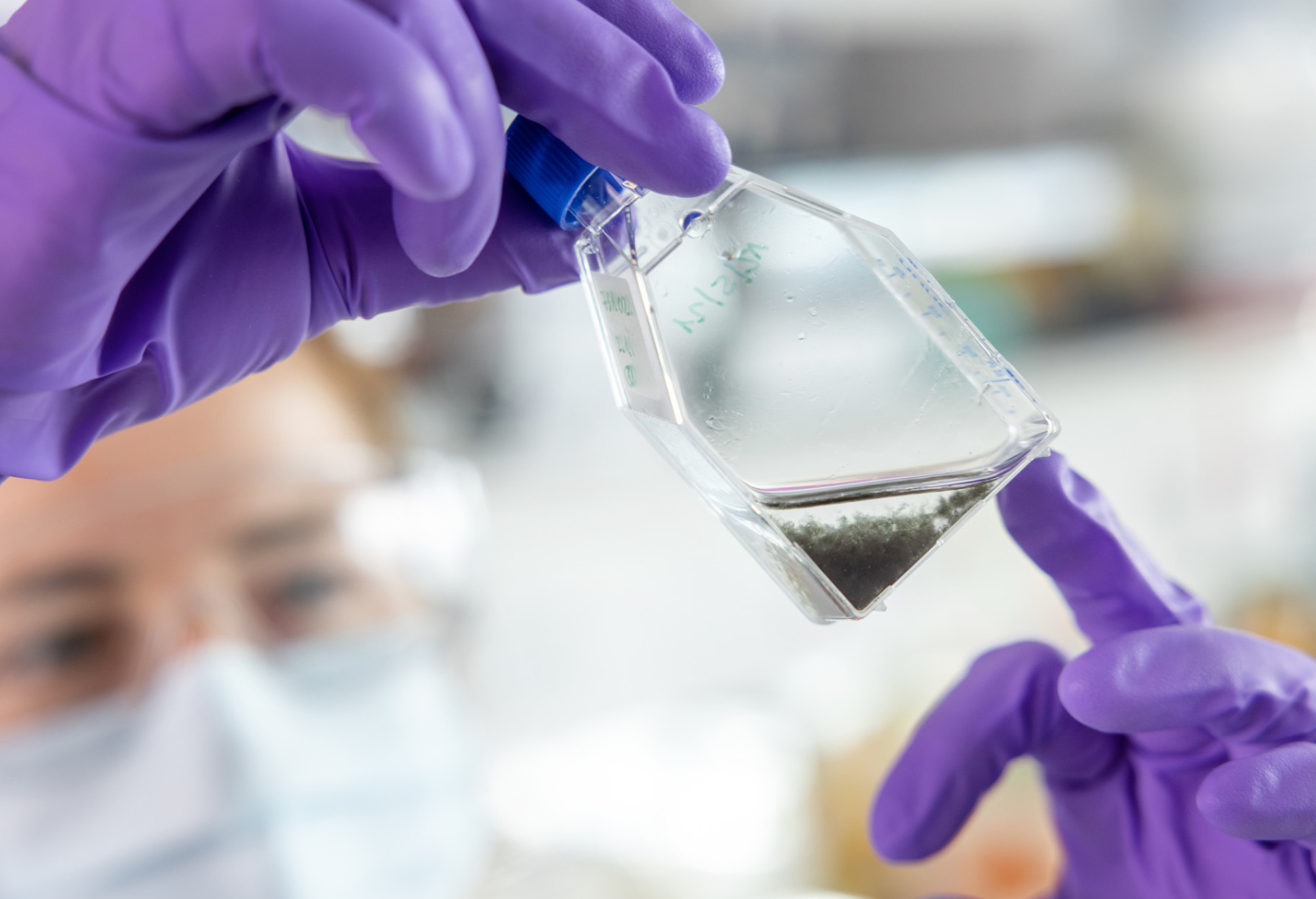 A researcher holds a beaker