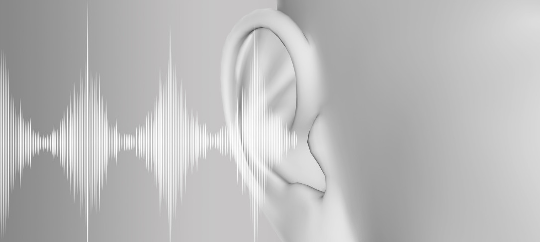 ear and soundwaves