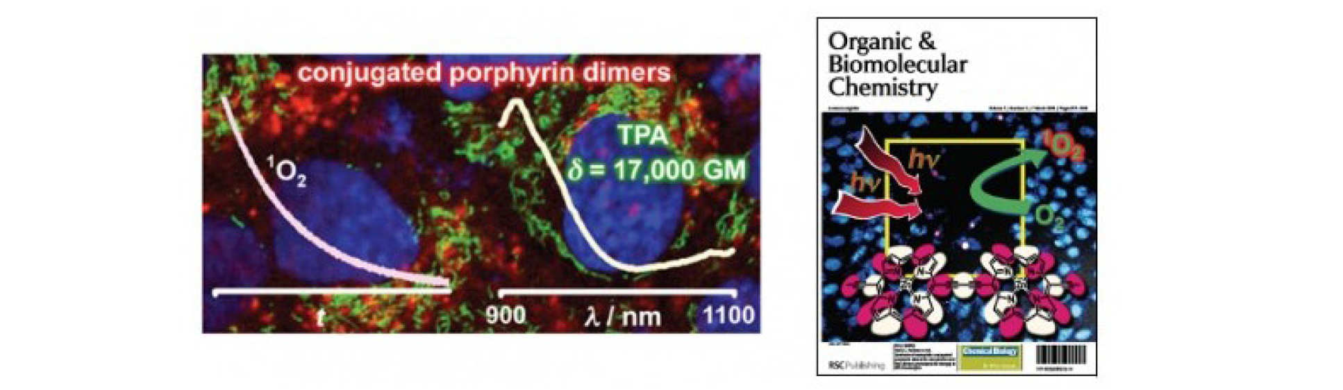 Two-Photon Photodynamic Therapy (TPE PDT)