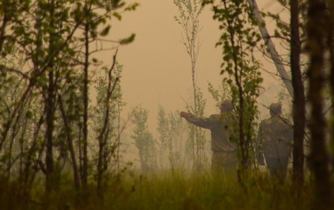 People peer through smoky forest scene