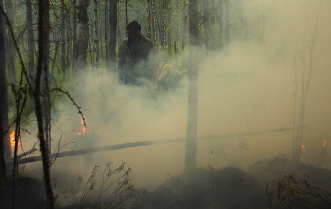 Sillhouette of man in smoke filled forest darkness