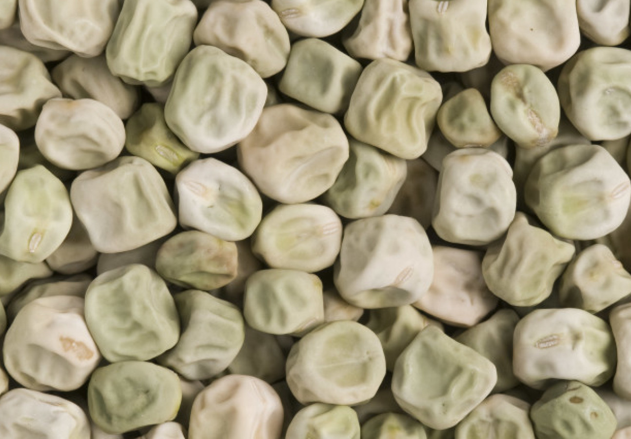 Close up image of wrinkled peas - small, green, and wrinkly