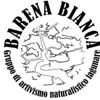 Logo of the Barena Bianca arts group