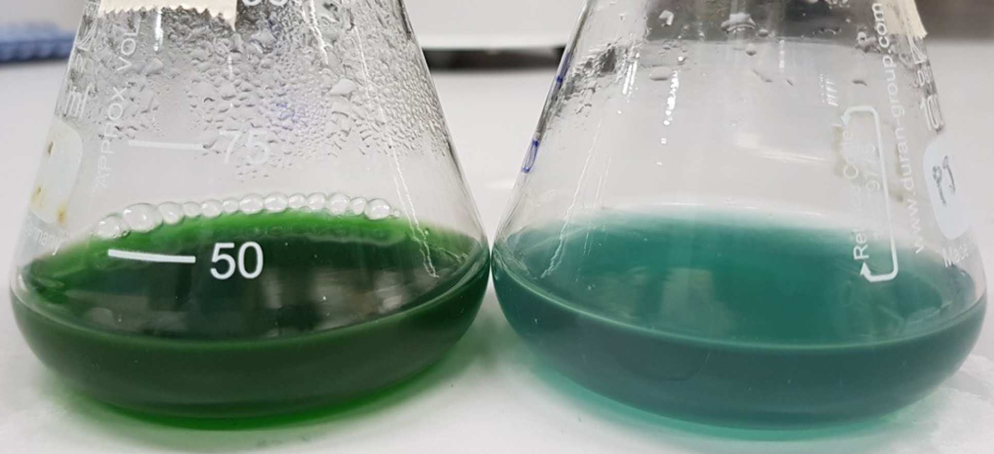 Two flasks of green liquid, the left one darker