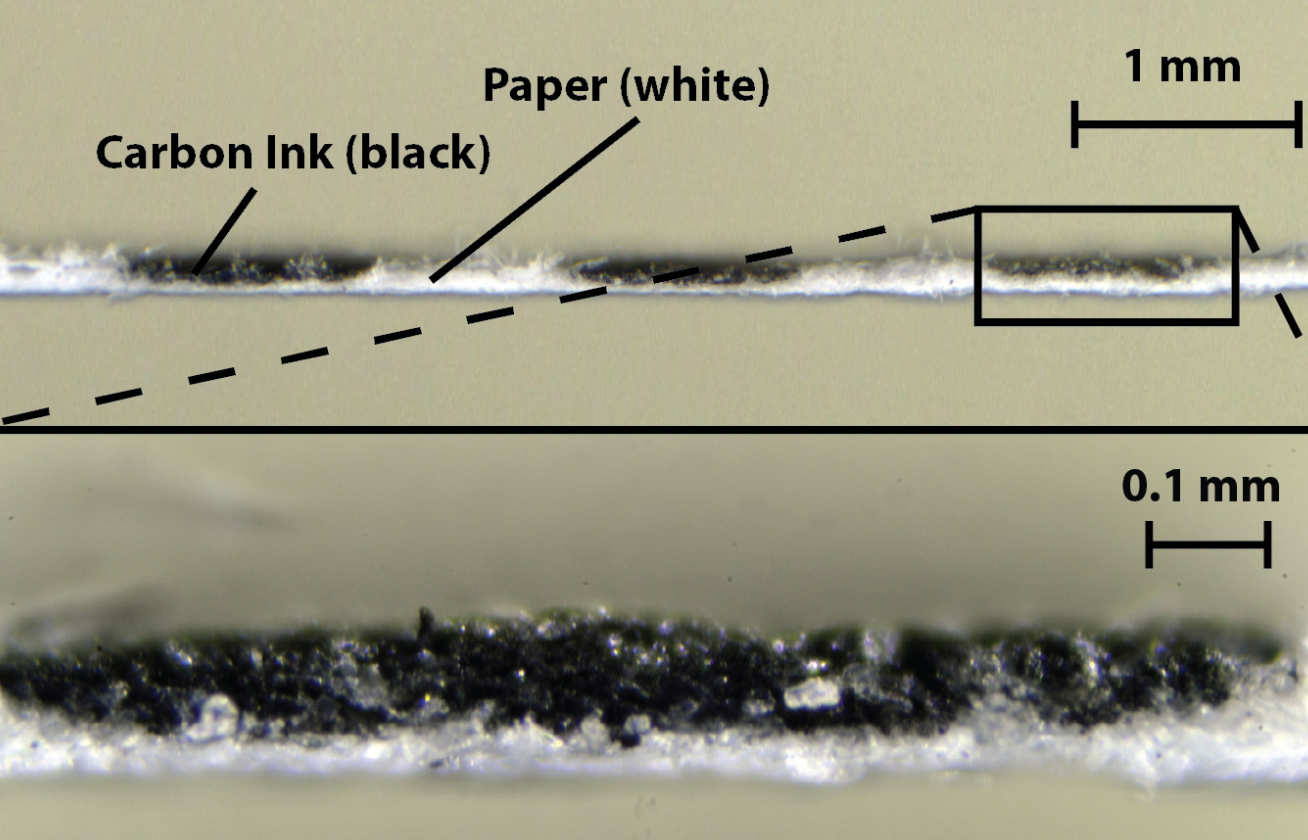 Closeup image of the sensor, made of carbon electrodes printed onto cellulose paper