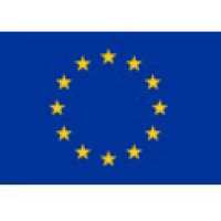 EU Flag