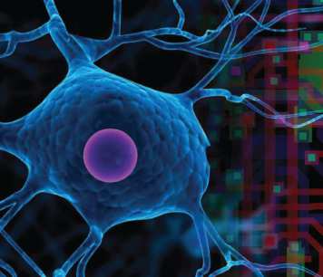 Bio-inspired Technology