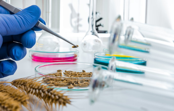 Intelligent food design, engineering and monitoring