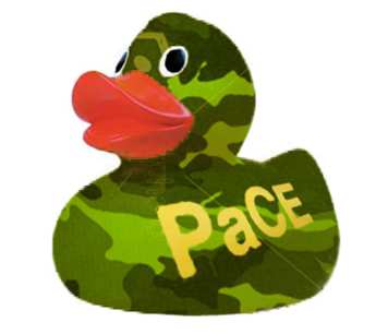 Green duck