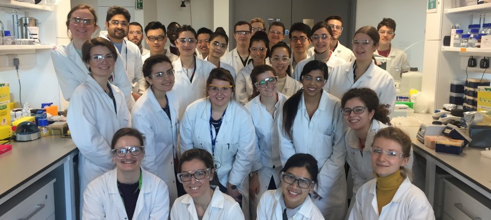 Lab members celebrating diversity on International Day of Women and Girls in Science 