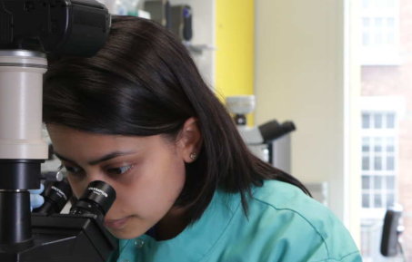 Researcher at microscope