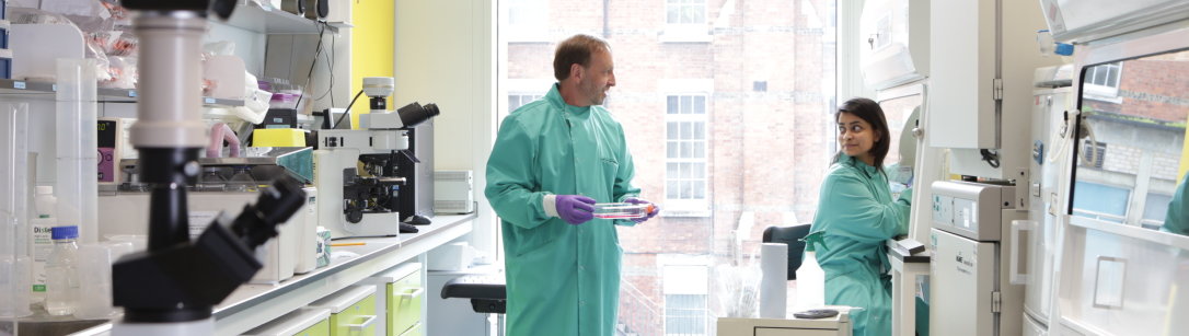 Two researchers discussing a sample in the laboratory