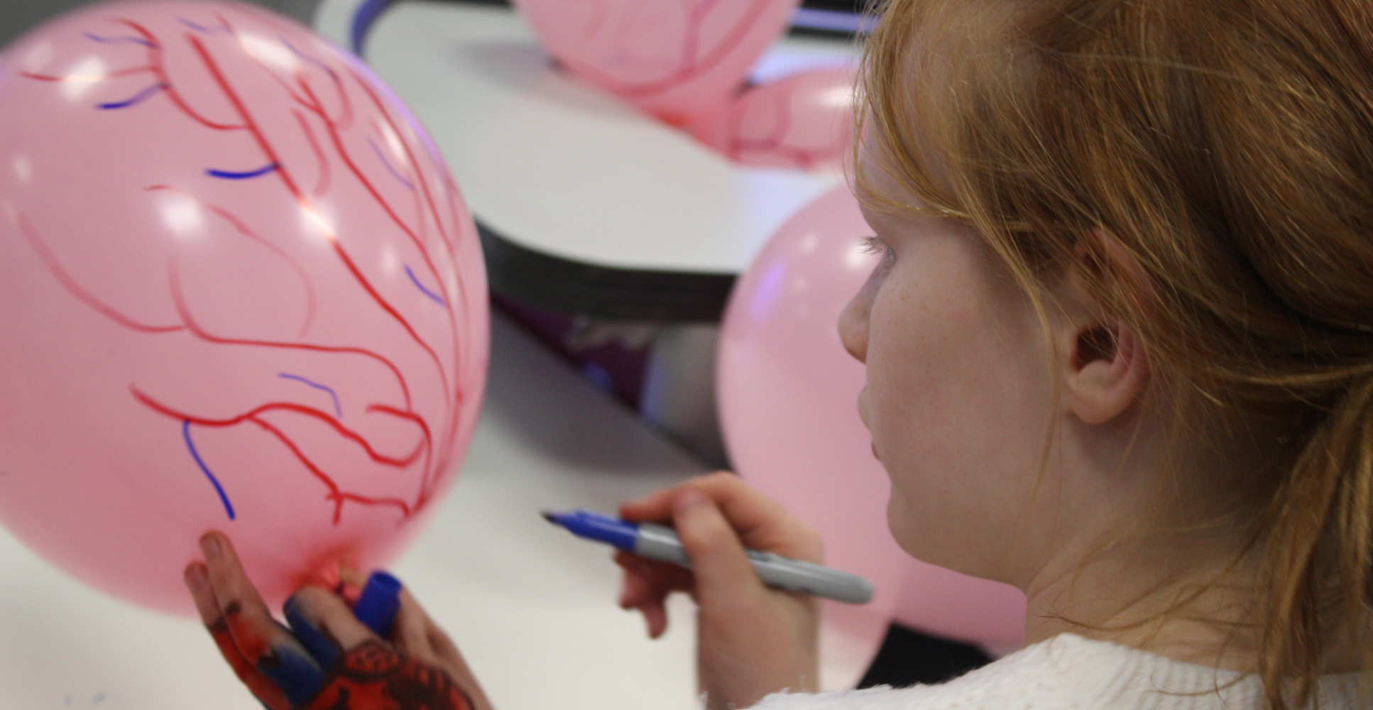 Child draws blood vessels on balloon