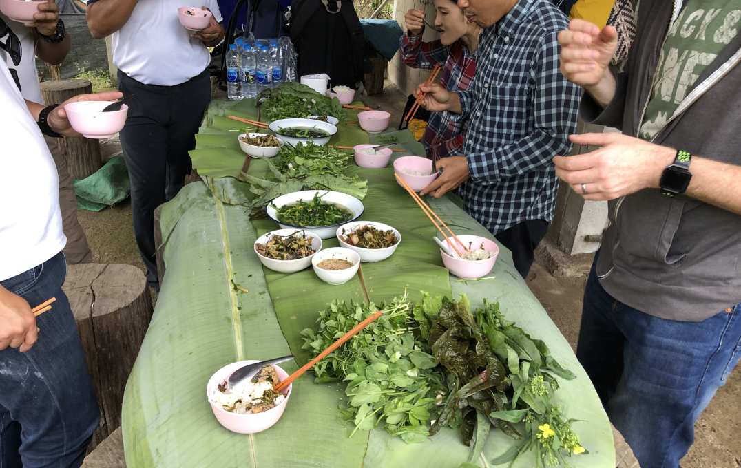 People around a table of plants