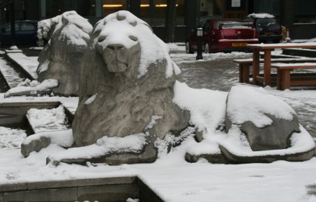 Lions on campus in the snow