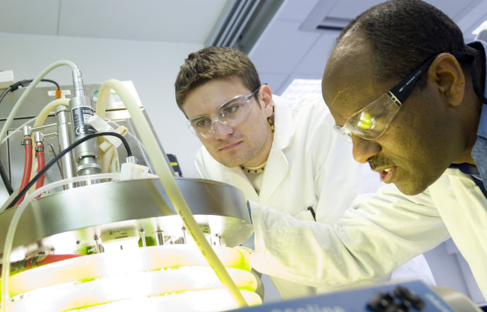 Two researchers working in the Energy Futures Lab
