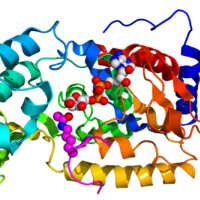 Chemical Biology, Molecular Imaging and Drug Discovery