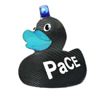 Multifunctional duck