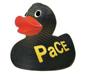 Polymer nanocomposite duck