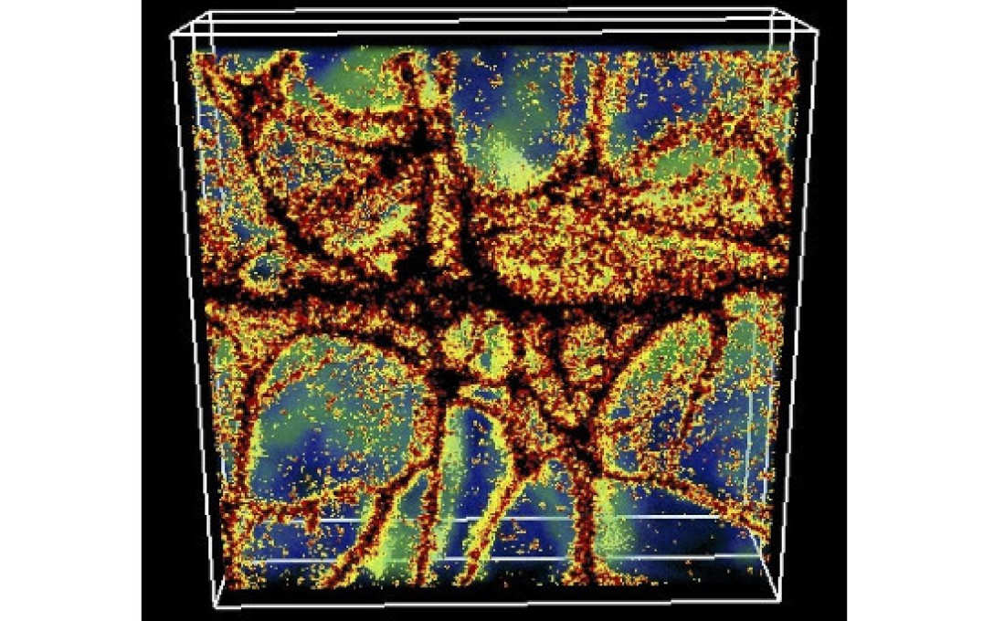 Rayleigh-Bénard convection