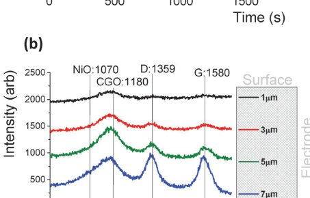 Solid Oxide Electrolysis