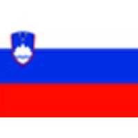 Slovenian Flag