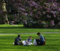 Students sitting in a park