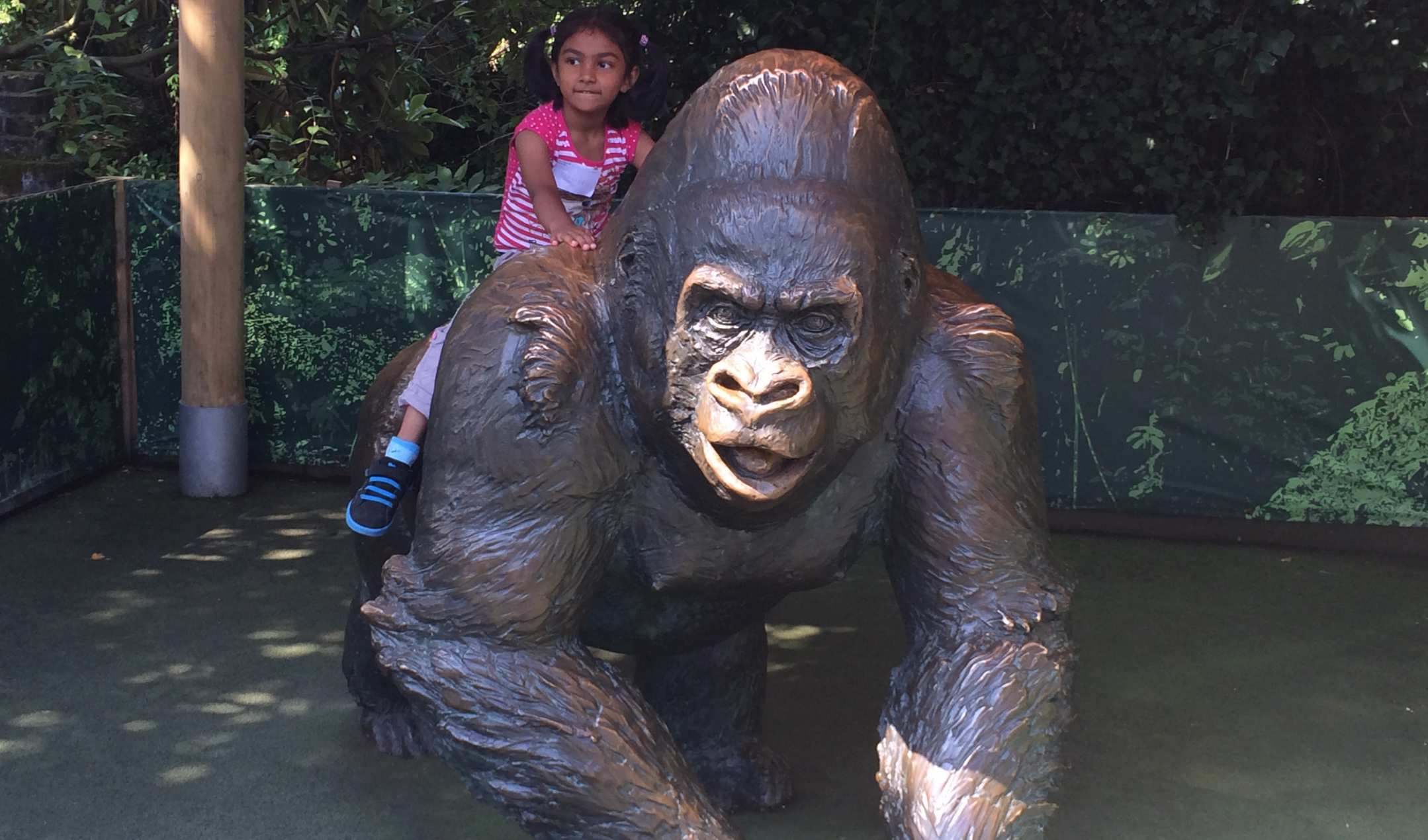 Zoo