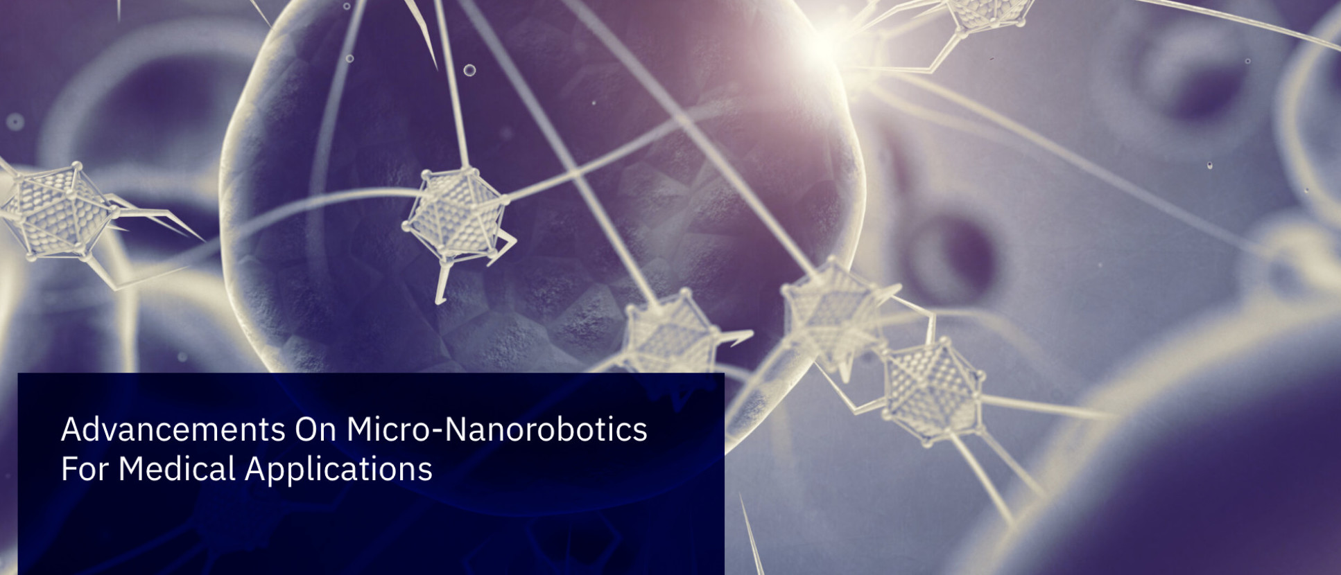 HSMR21 Workshop- 'Advancements On Micro-Nanorobotics For Medical Applications'