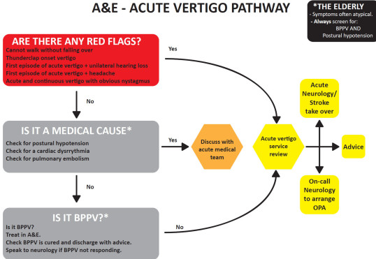 Suggested Acute Vertigo pathway (my own) for A&E