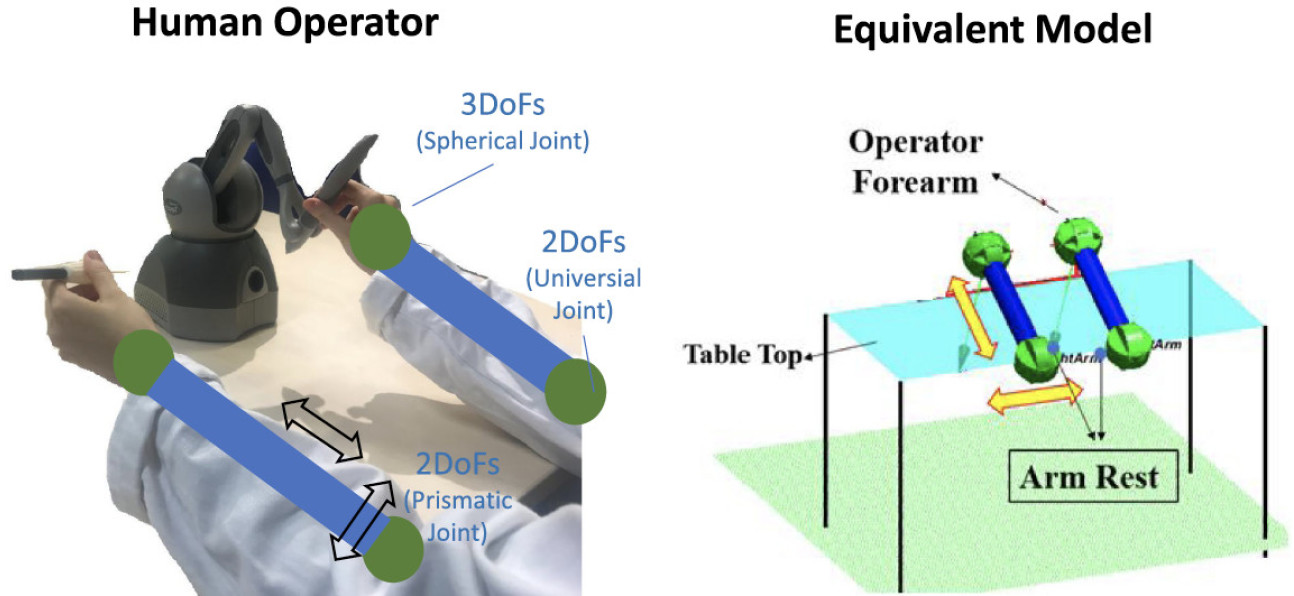 The analysis of operation motion of surgeons and the corresponding equivalent model of human operator for surgical teleoperation.