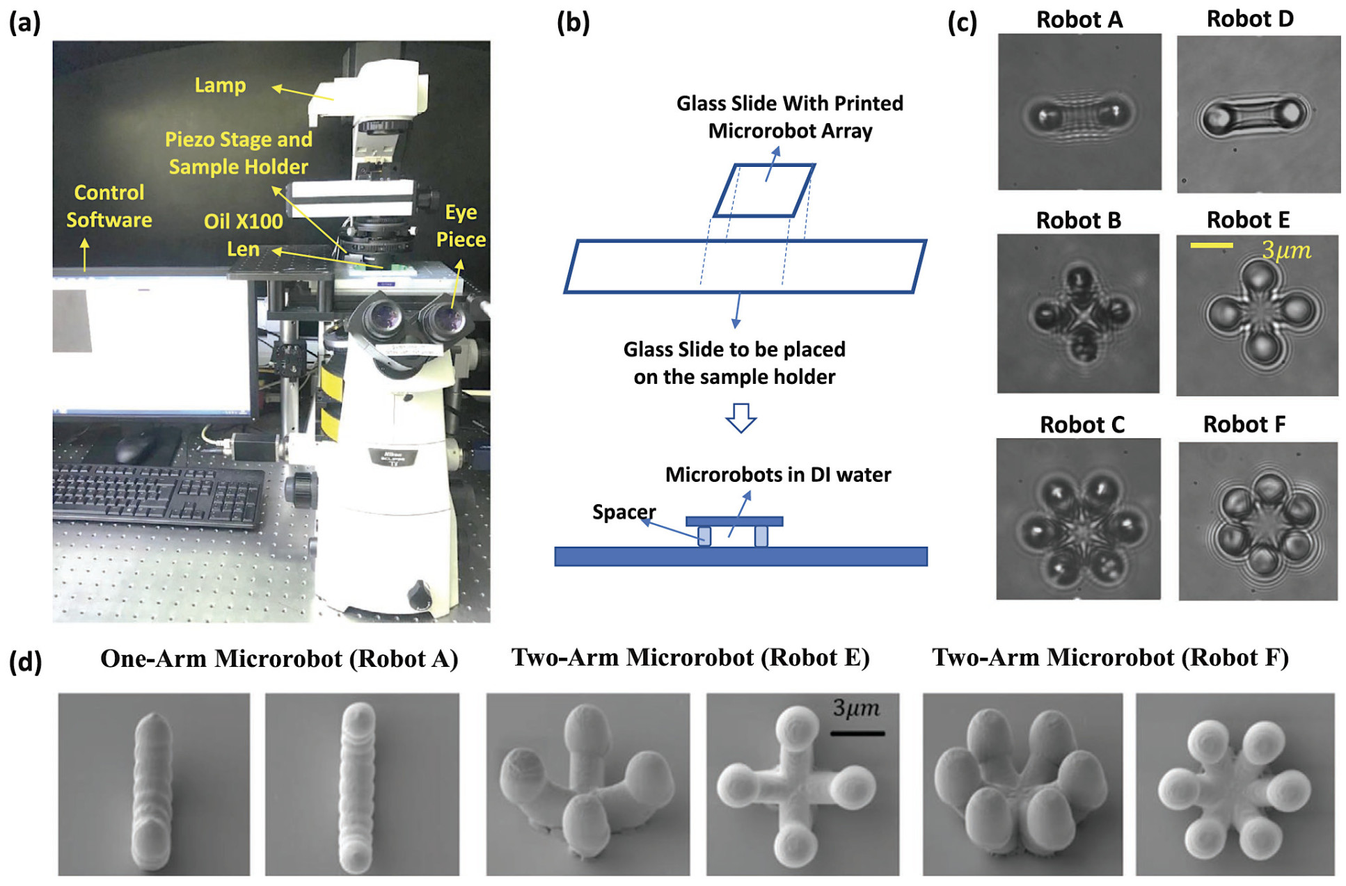 An overview of the microrobots and their experimental environment.