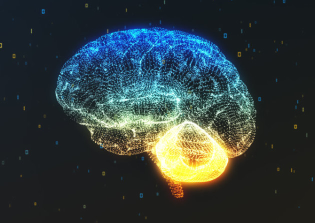 atlas of brain
