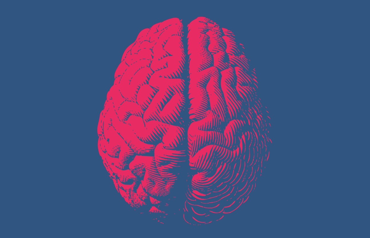 Illustration of a red-coloured brain on a blue background.