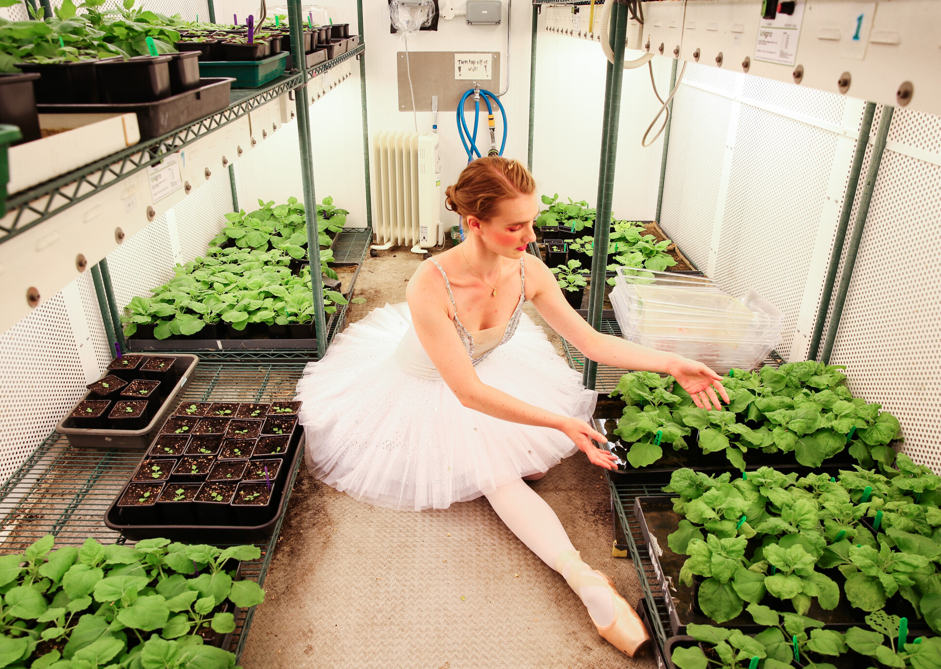  Eleonora Moratto dancing in the plant growth facilities at Imperial