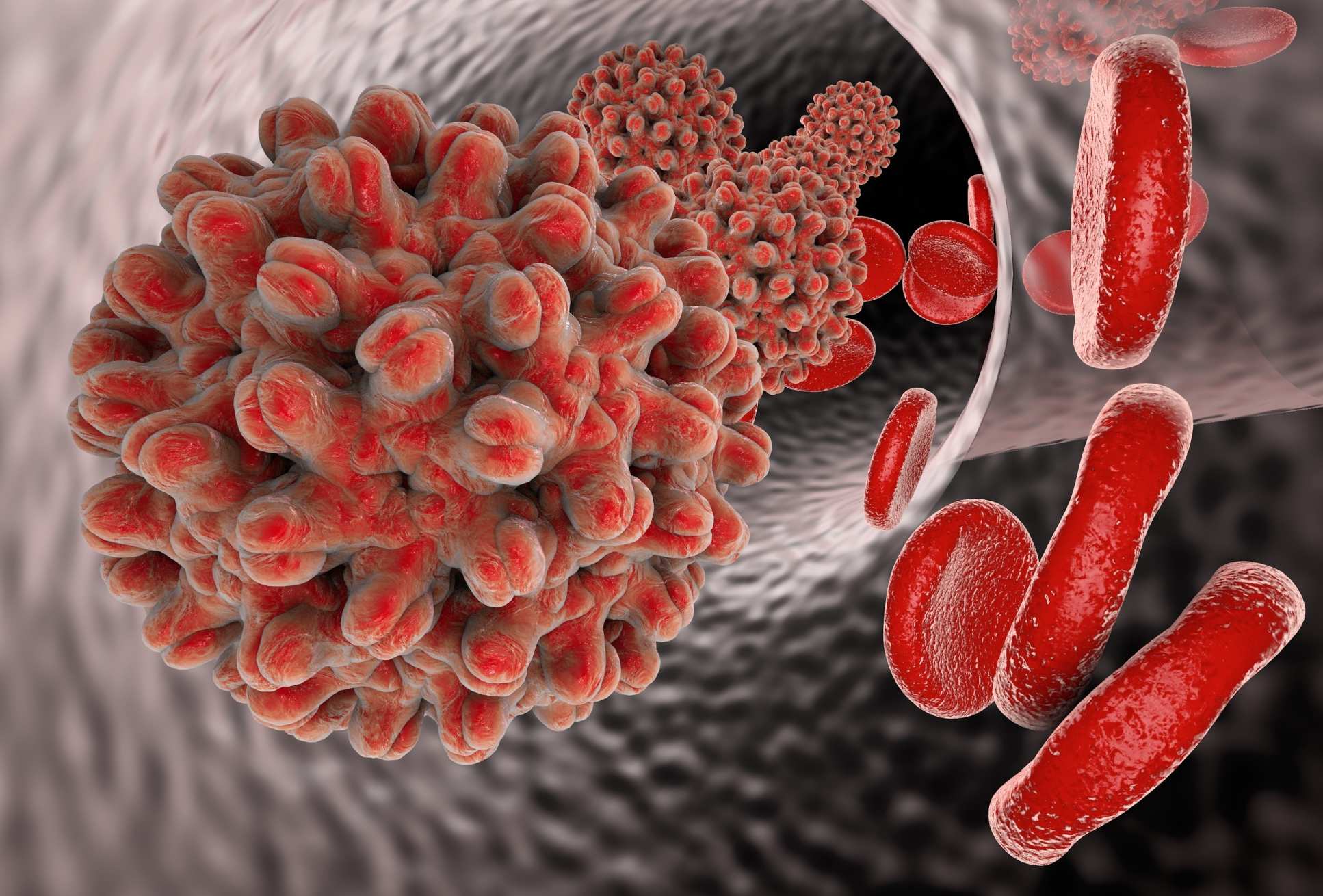 Hepatitis B virus in blood vessel with red blood cells