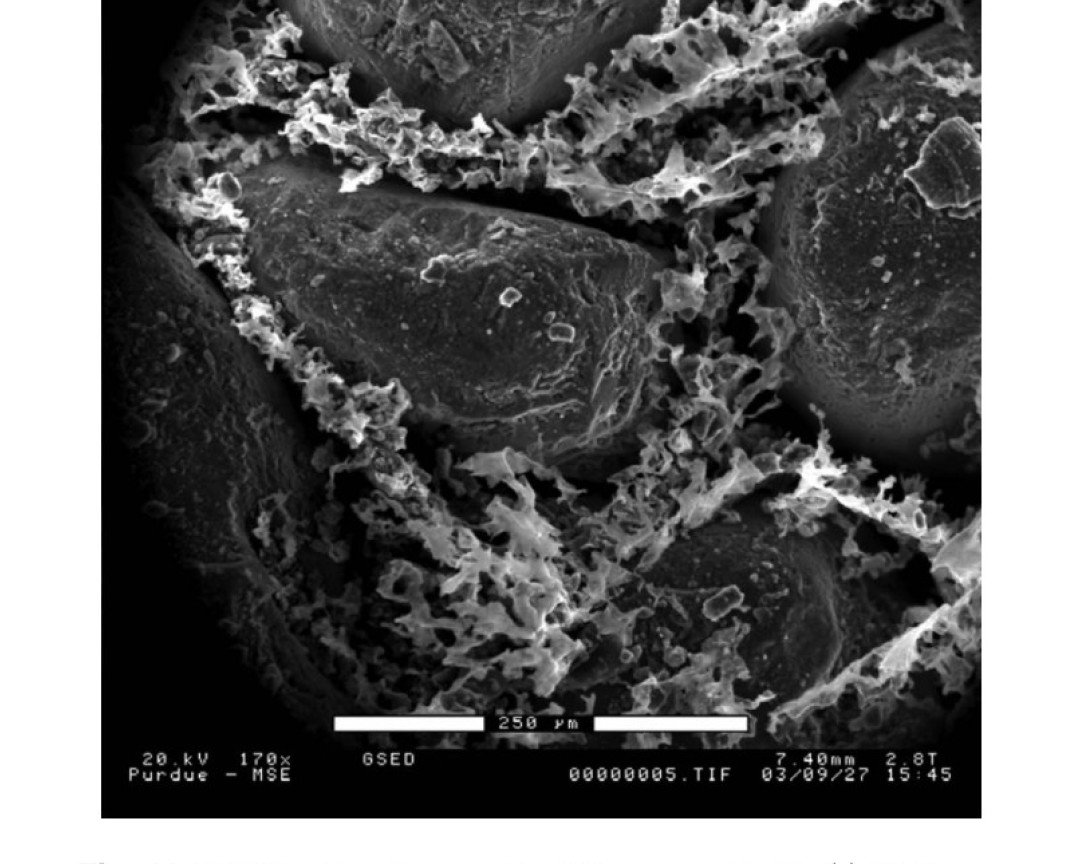 Microphotograph of clayey sand (Carraro et al. 2009)