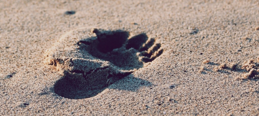 footprints in sand