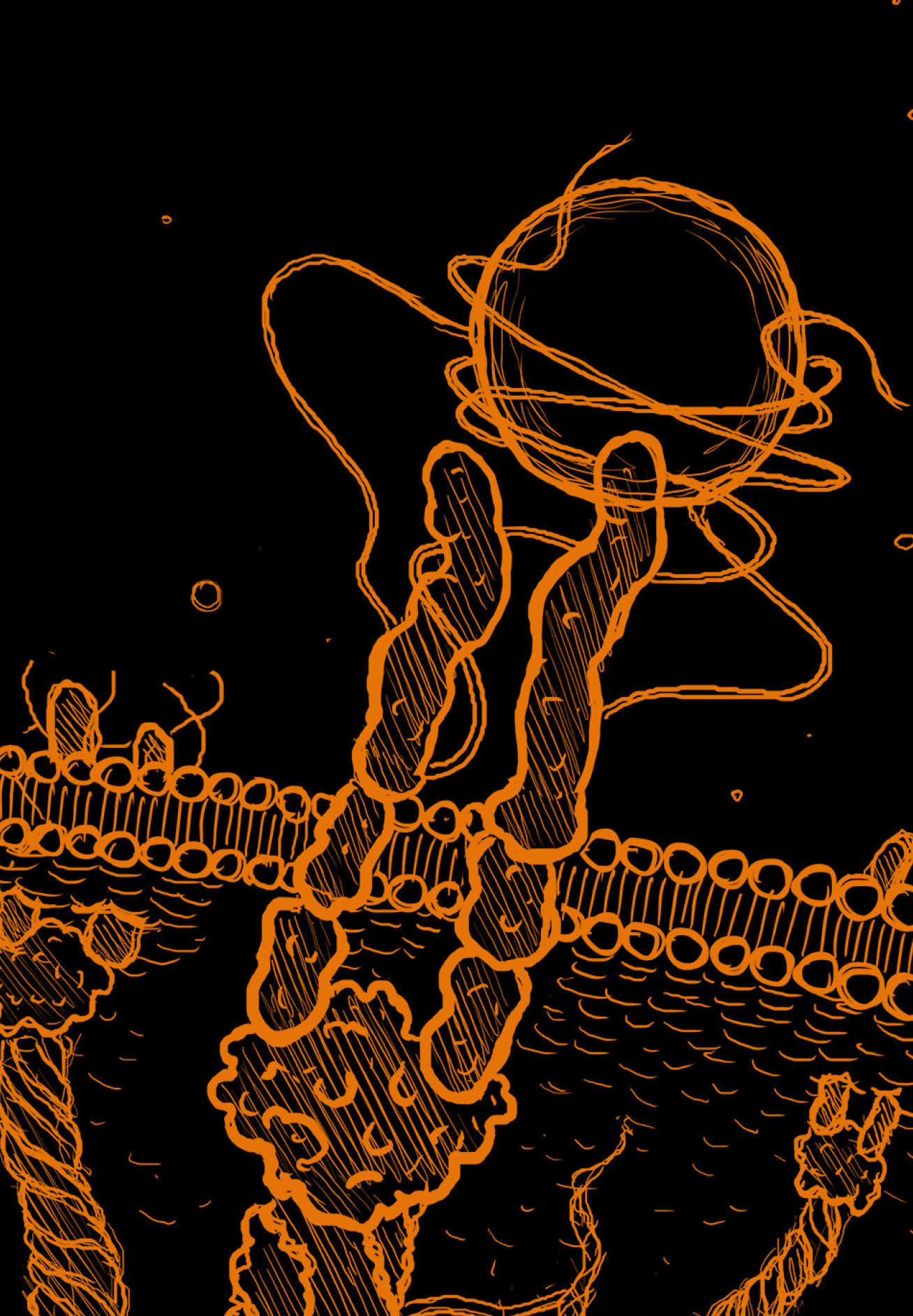 3D rendering showing syndecan-4 'hands' protruding from the cell membrane