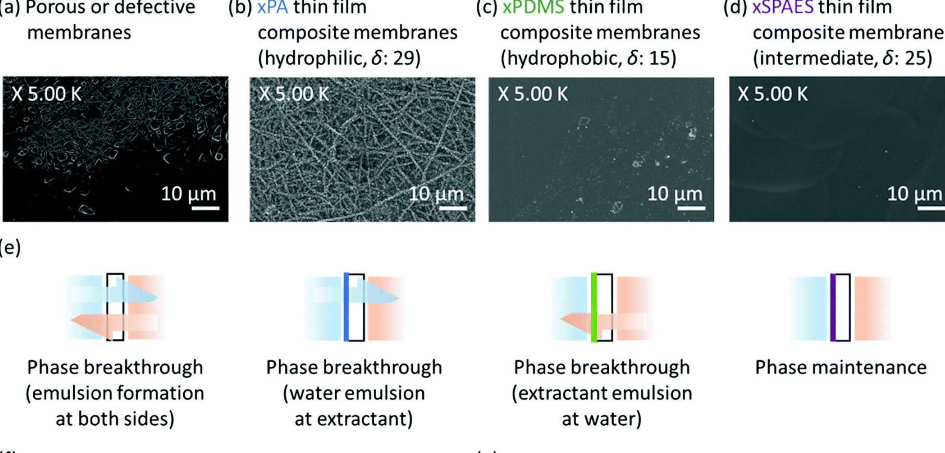 Image showing the different types of biofuel membrane