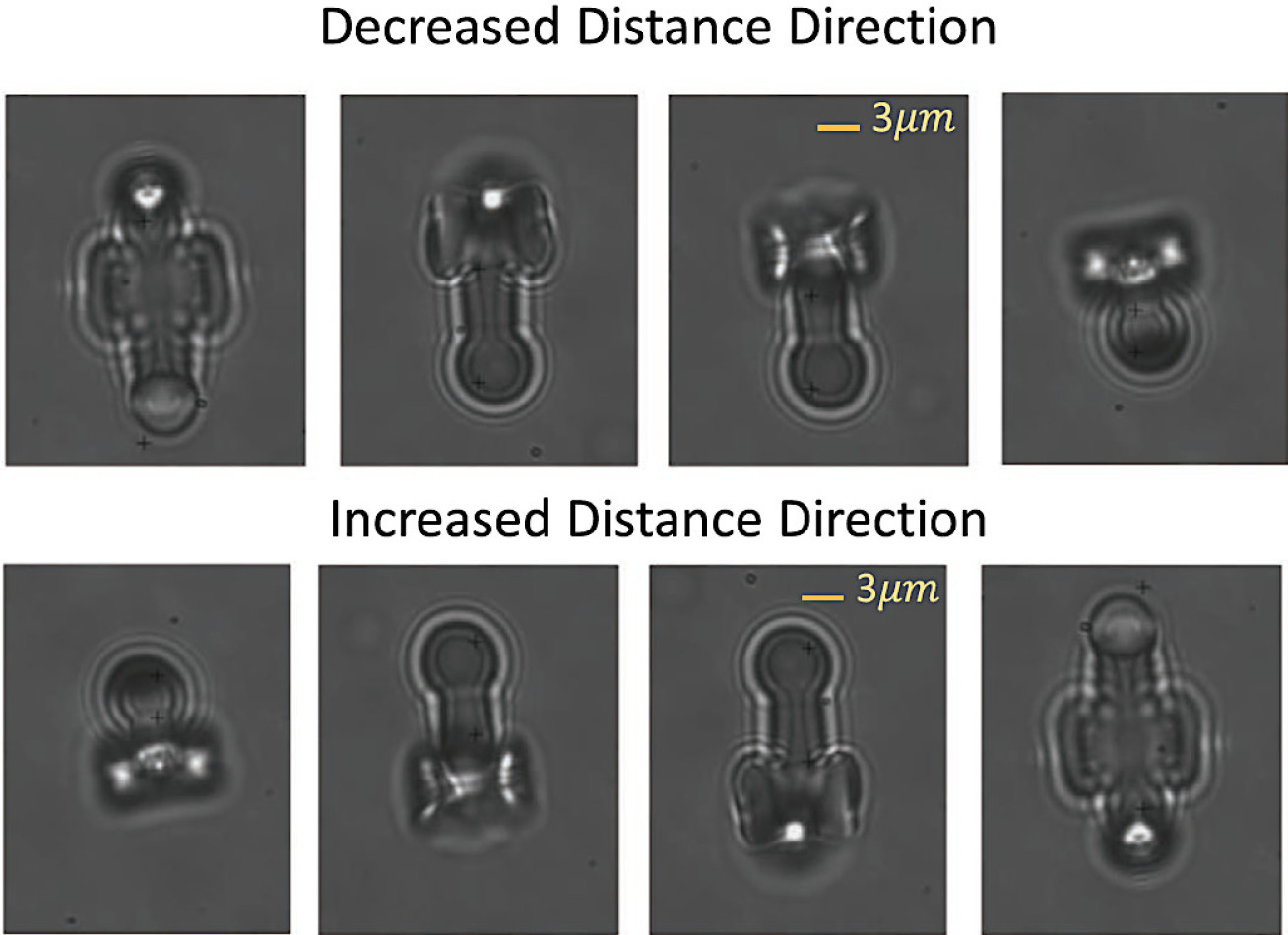 Distributed force control of the microrobot with two additional holders and the evaluation of indirect manipulation.